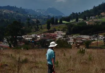 planting trees as part of a reforestation effort 