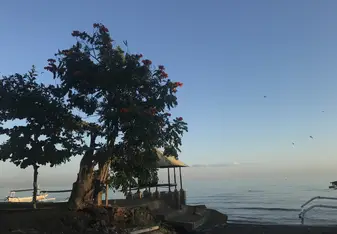 Lovina beach,what a fancy place!