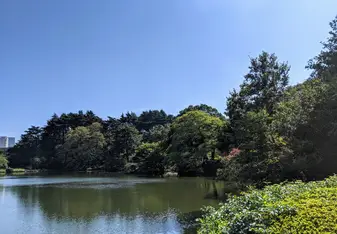 Shinjuku park