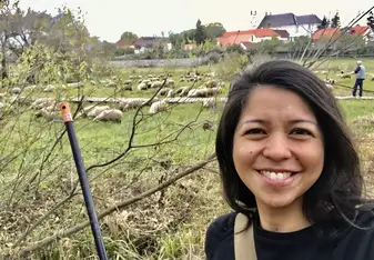 Visited by a flock of sheep while we did our community clean-up