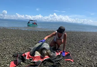 Took a picture before we letted the Sea turtle in the water
