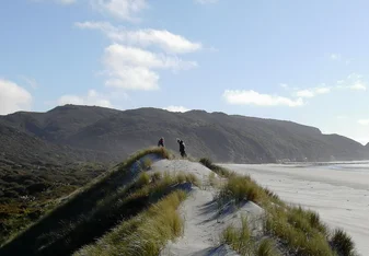 Farewell Spit
