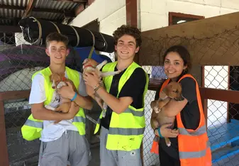 One day for service we helped with an animal shelter. These are the puppies!! A lot of the service you do however is in villages and working with kids.