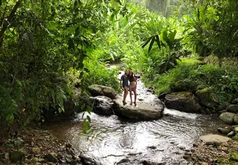 The beautiful nature that Costa Rica holds within its core