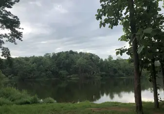 Lush landscape in the morning before bathing elephants