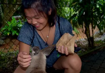 First time feeding and petting a wallaby