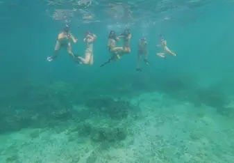 Snorkeling in Bayahibe. This was after a Parrotfish ID to get us familiar to different Parrotfish.