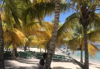 We stayed the night at Isla Saona to study turtles.