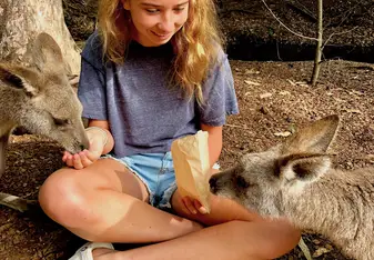 We visited the Steve Irwin Australia zoo where we fed kangaroos, walked around, and watched a show.