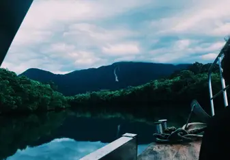Daintree River cruise
