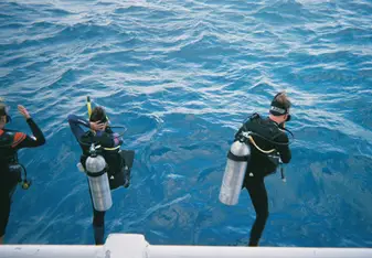 Jumping in!