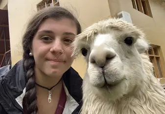 Alpaca