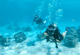 ARCC Gap Central America: Scuba Diving in Belize