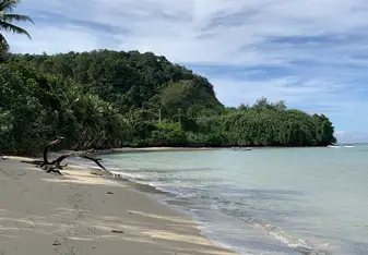 This is the beach at the hostel they were in. 