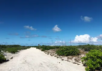 blue sky with fluffy clouds and a single white road 