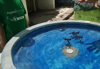 First time we got to meet the baby turtles & Pablo giving us information about the different types & how to clean & feed them