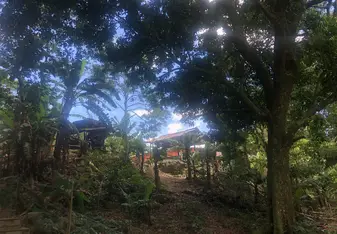 Hill in the forest with house in the background.