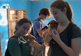 Helping at the animal shelter!