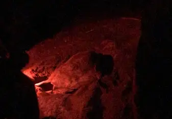 At night we got to see turtles giving birth 