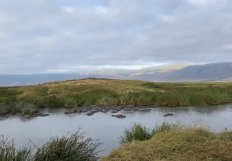 A hippo pond in the Ngorongoro crater. 