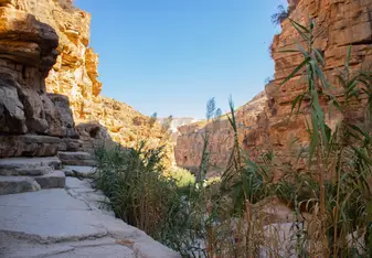 Wadi Qelt