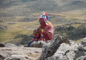 Peruvian musician