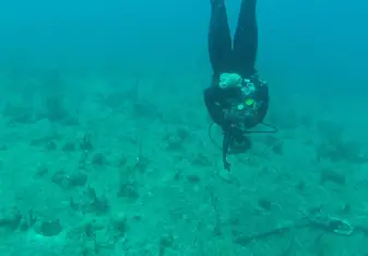 50ft. underwater and upside down!