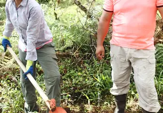 digging holes to plant trees in San Cristabol