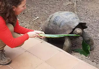 feeding the tortoises in the sanctuary