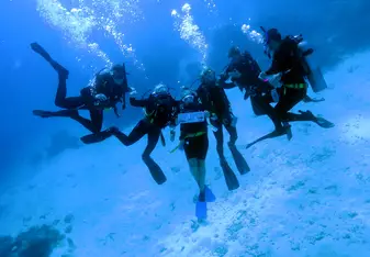 Crew Scuba Diving the Great Barrier Reef