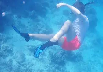 Snorkeling of 'Booby' Island - Camera managed to get me and not the turtle!