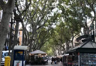 Ls
