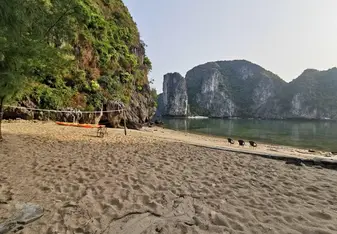 Freedom island beach