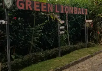 Green Lion 