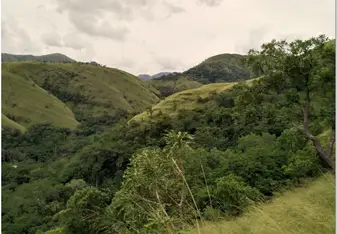 The mountain-top grasslands of the Volta Region