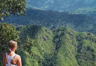 View from Ella Rock