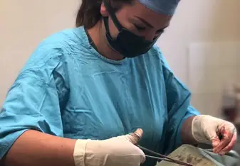 Assisting with neutering surgeries and improving my suturing skills.