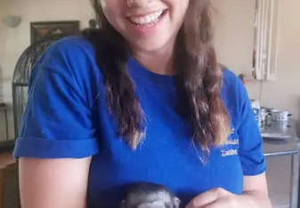 Hand-rearing Artie the baby monkey was an amazing experience.