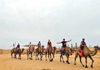 Camel Riding in the desert 
