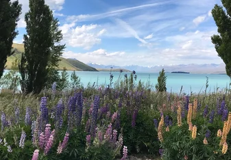 Lake Tekapo, New Zealand