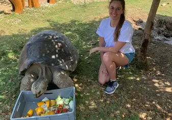Taking care of exotic animals