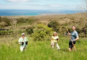 Planting indigenous plants