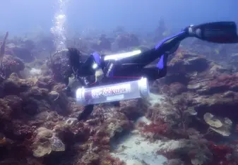 Lionfish Hunt specialty training