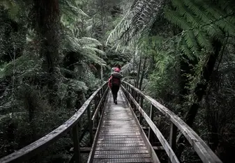A photo taken during a backpacking trip on the Abel Tasman with Whenua Iti