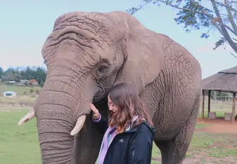 One of our program excursions to Knysna Elephant Park!