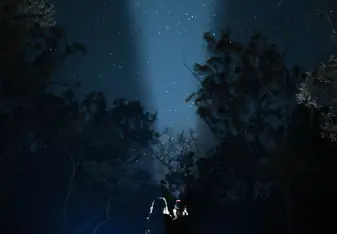 Night sky at camp in Australia