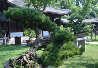 Jardin Yu