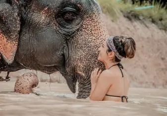 Meeting elephants at their home.