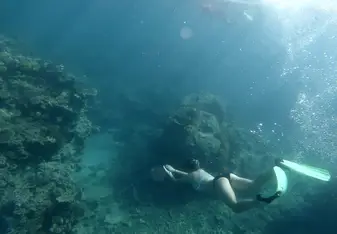 One of many snorkeling experiences