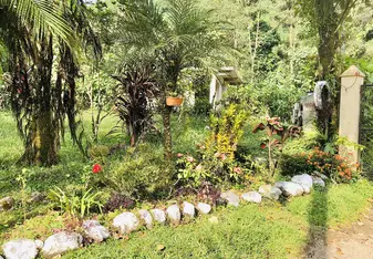 Part of the garden